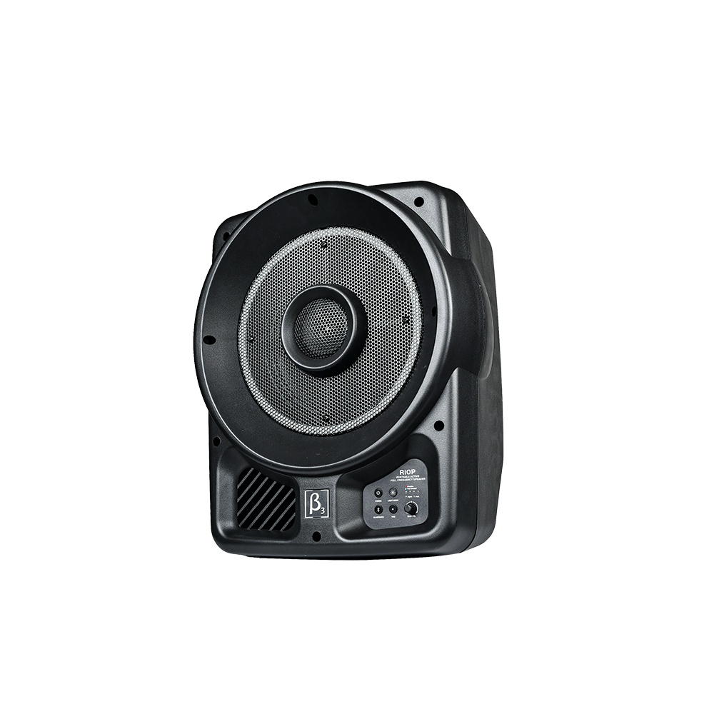 R10P Beta Three 10 inch Battery Powered Portable Speaker